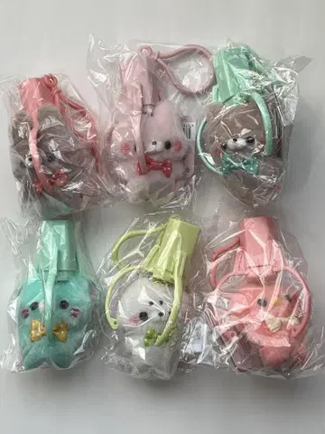 스쿳토 타치 씨 덜덜 줍줍