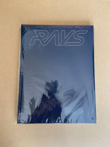 RAYS 팀 Snow Man 팜플렛