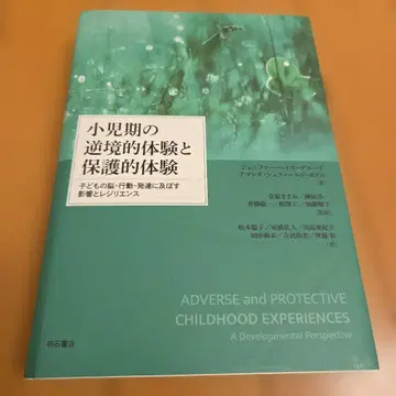 소아기의 역경적 체험과 보호적 체험