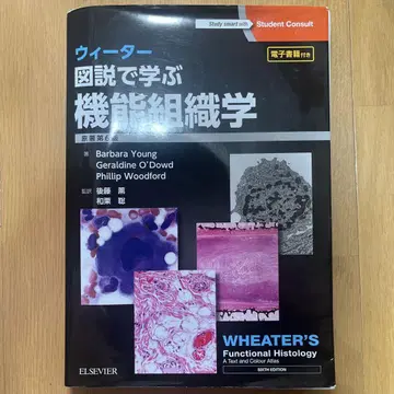 위터 도해로 배우는 기능 조직학 원저 제6판