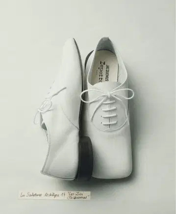 지 지 레페토 자크뮈스