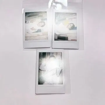 하시모토 신이치 폴라로이드