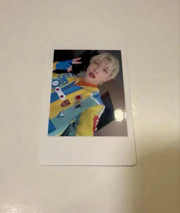 7 팬더 드래곤 파라곤 하피카 폴라로이드 요우타