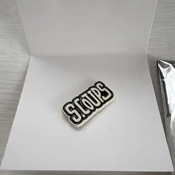 SEVENTEEN HOLIDAY S.COUPS 핀즈