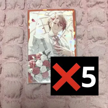 니지산지 세라프 더즐 가든 보이스 비주얼 카드 준 브라 폴라로이드