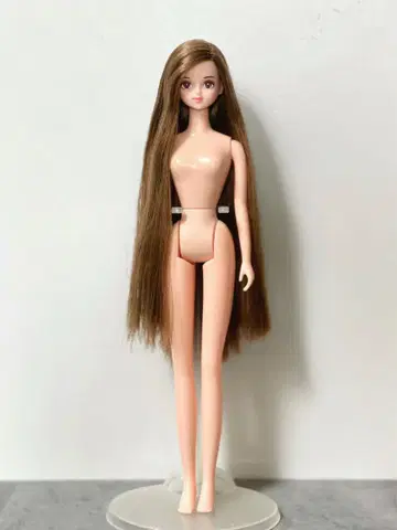 리카짱 캐슬 사야카 인형 본체 브라운 롱 헤어