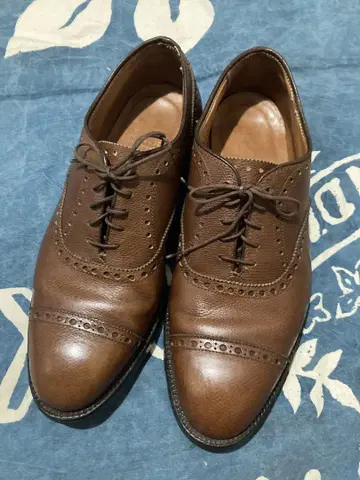 알든 8C 펀치드 캡토