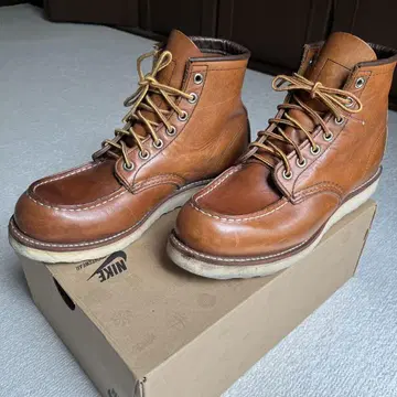 RED WING 레드윙 아이리쉬 세터
