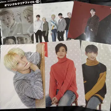 SEVENTEEN 정한 조슈아 클리어 파일