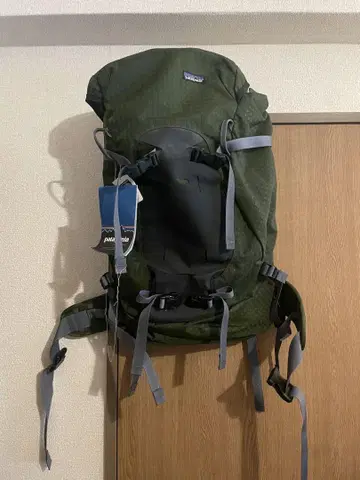 patagonia 백팩 그린