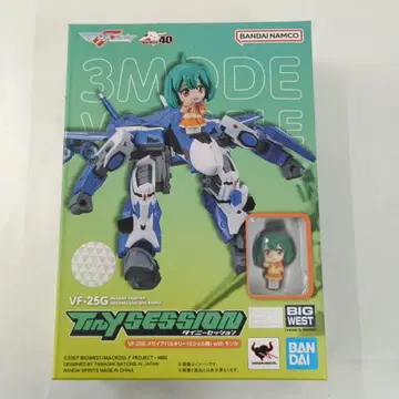 TINY SESSION VF-25G 메시아 발키리 with 란카