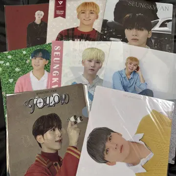 세븐틴 승관 클리어 파일