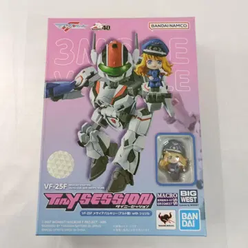 TINY SESSION VF-25F 메시아 발키리 with 셰릴