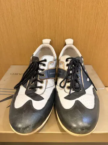 드래곤 비어드 DX-8S-307