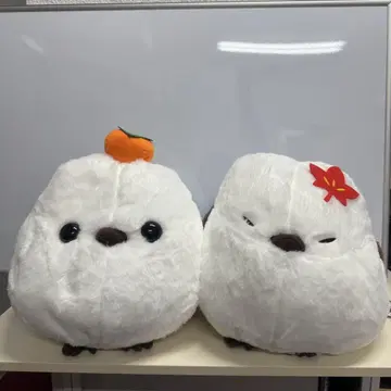 2종류 복복 시마연가 가을 컬러 데이 BIG 봉제 인형