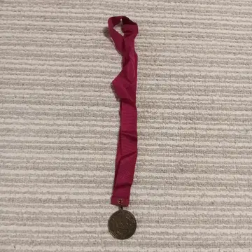 신데렐라 성 미스터리 투어 메달