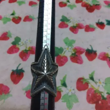 코디 선더슨 스털링