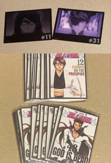 BLEACH 아이젠 소스케 카드 11장 랜덤 카드 2종