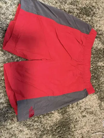 THE NORTH FACE M 사이즈 숏팬츠 레드 그레이