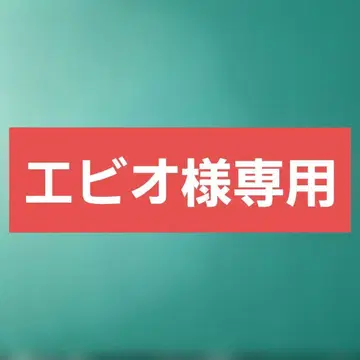 세가 prize 다이마진 피규어