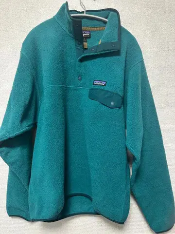 Patagonia 플리스 자켓 터콰이즈