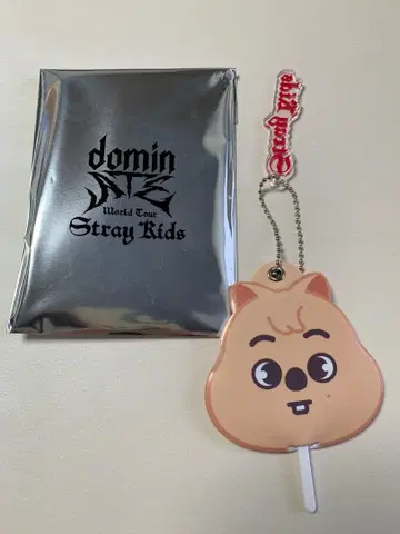 Stray Kids domin World Tour 키링