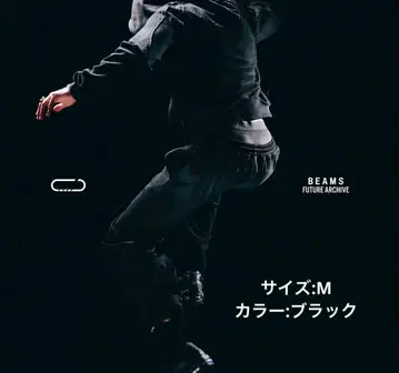 standard format 스웨트 팬츠 future archive