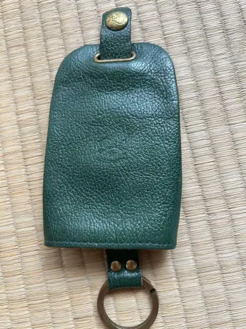 일비종떼 키케이스