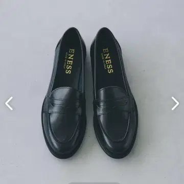 ENESS 에네스 코인 로퍼
