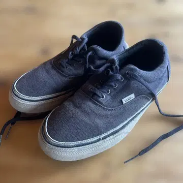 Vans 다크 그레이 캔버스 스니커즈