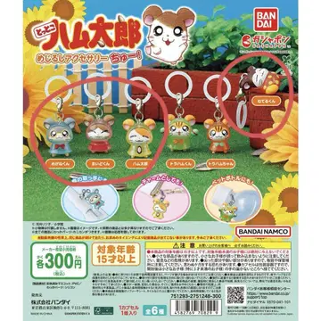 하무타로 메지루시 액세서리 4개 세트