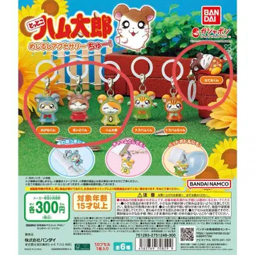 하무타로 메지루시 액세서리 4개 세트