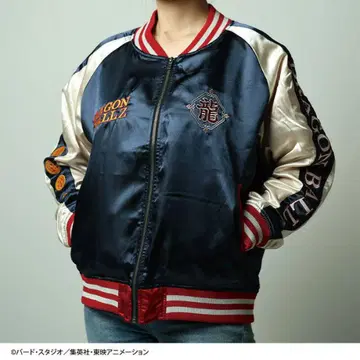 캐릭터 스카잔 (L) 드래곤볼 Z 신룡 쉘롱