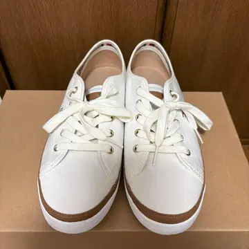 TOMY HILFIGER 캔버스 스니커즈 24cm