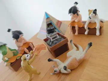 동물 사우나 기타 덤 포함