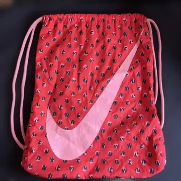 NIKE 냅색 초레어 패턴