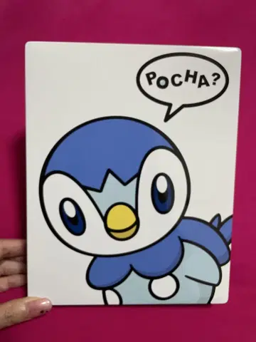 포켓몬 팽도리 캔 케이스