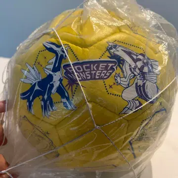 2008 포켓몬스터 축구공 레어템 4호 다이아몬드 펄