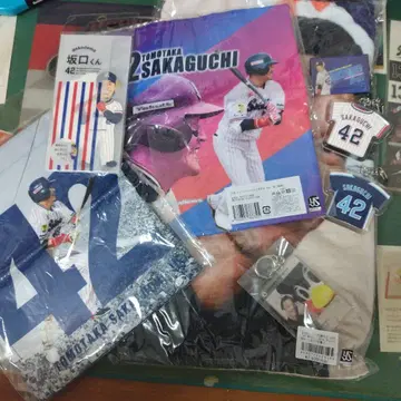 사카구치 토모타카 세트