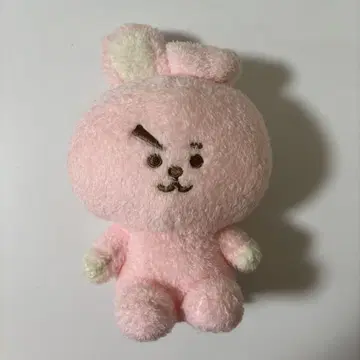 BTS 쿠키 정국 봉제 인형