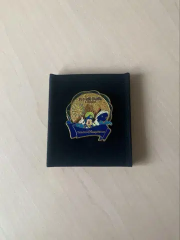 Private Festa in Summer 도쿄디즈니씨