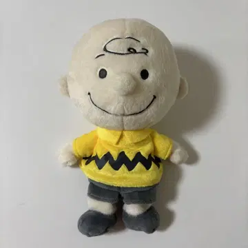 스누피 뮤지엄 찰리 브라운 봉제 인형