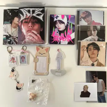 stray kids 아이엔 앨범 묶음 판매 skzoo 폭시니