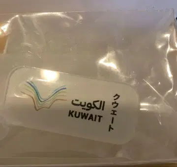 쿠웨이트 로고 핀 배지
