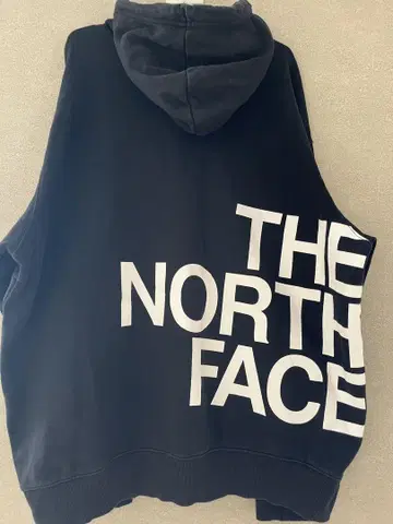 THE NORTH FACE 빅 로고 후드티