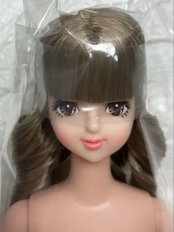 리카짱 캐슬 오타노시미 인형 사야카 오타노시미 인형