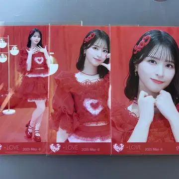 이코라부 사사키 마이카 생사진