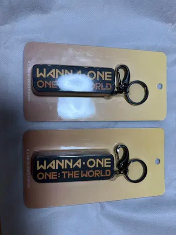 Wanna One ONE: THE WORLD 키링