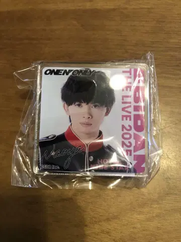 EBiDANTHE LIVE 2025 REI.NAOYA 핀 배지