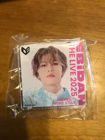 EBiDANTHE LIVE 2025 센다 나구토. 시가 리쿠 핀 배지